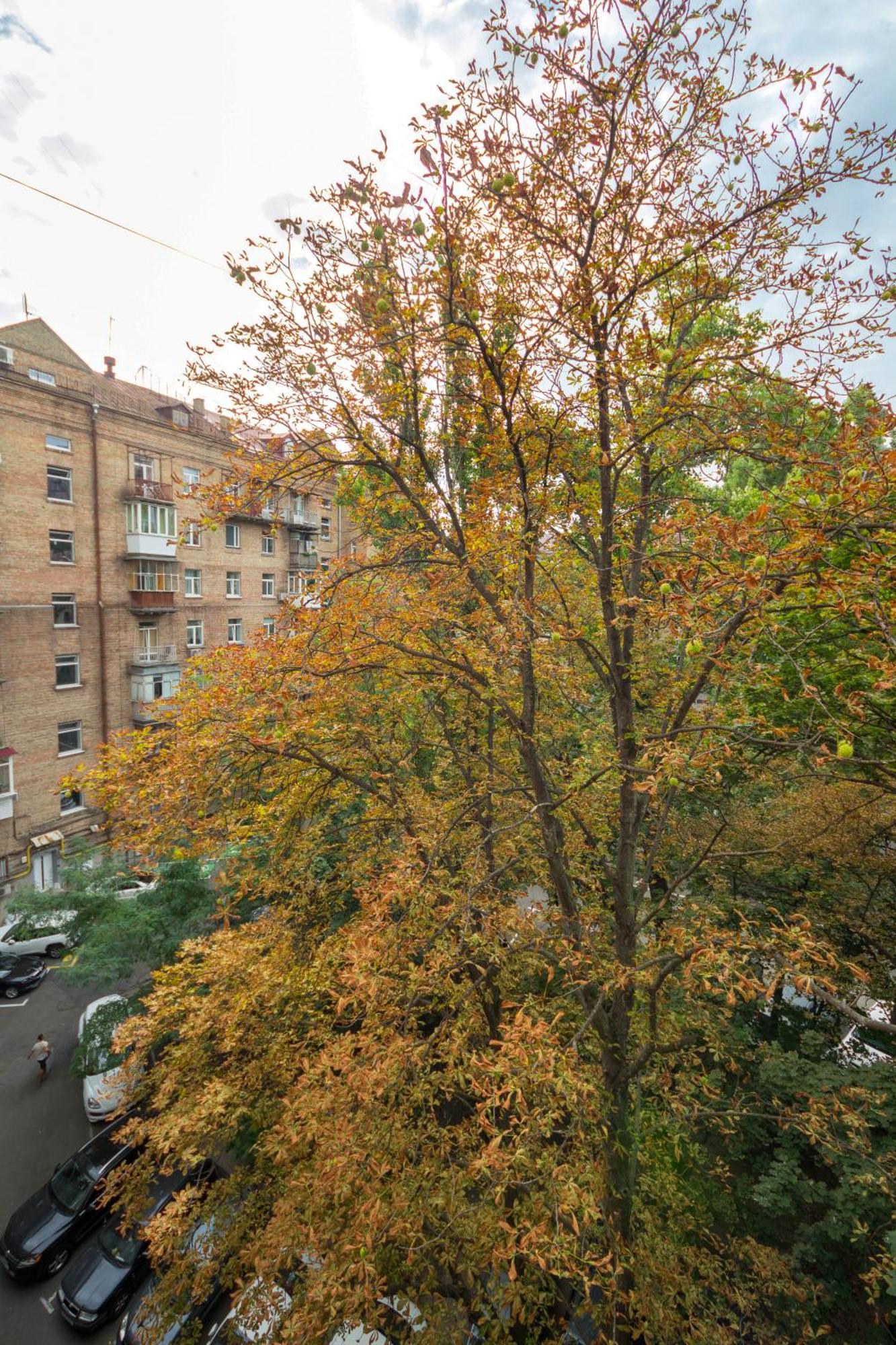 Central Apartments Apartment *